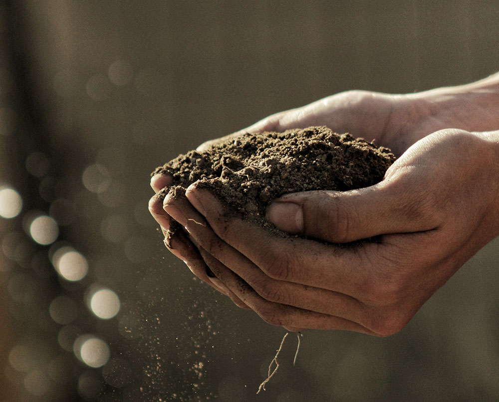 gabriel-jimenez-jin4W1HqgL4-unsplash Hands holding soil